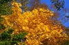 20061015_tsugaiketrip_06